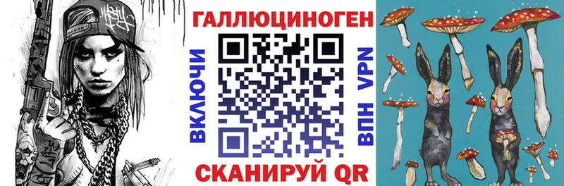 Галлюциногенные грибы Psilocybe где можно купить наркотик Пенза