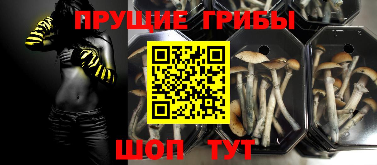 Галлюциногенные грибы Magic Shrooms Пенза